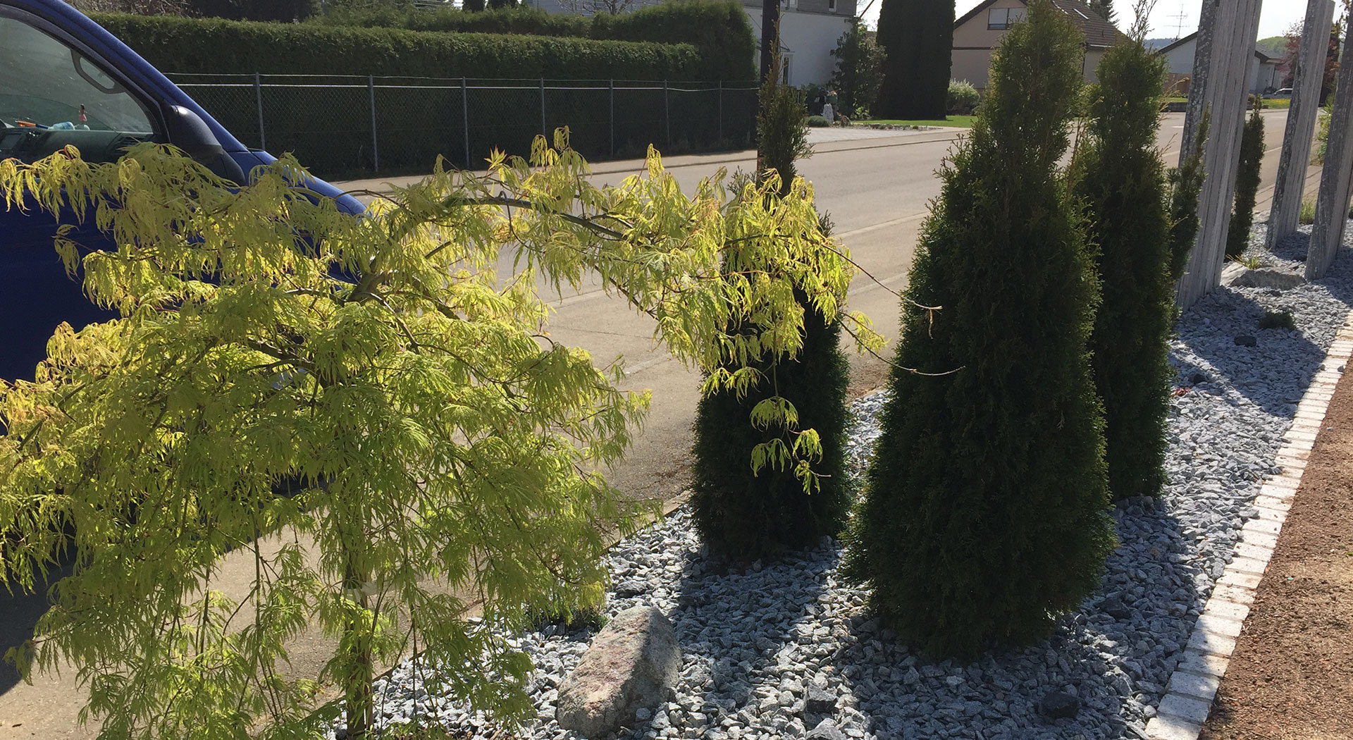 Kompetente Beratung und <br> fachgerechte Ausführung